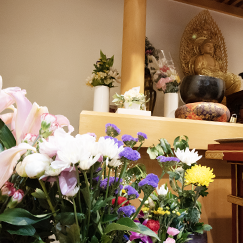 大阪府守口市の「本性寺」は数少ない寺院運営の納骨堂