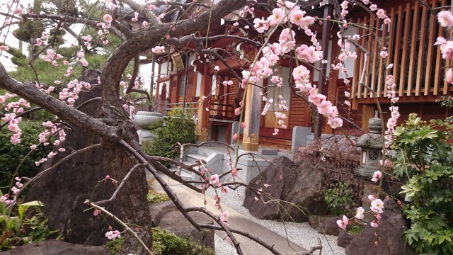 本性寺の法要日程